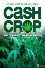 Watch Cash Crop Putlocker