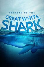Watch Secrets of the Great White Shark Putlocker