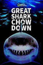 Watch Great Shark Chow Down Putlocker