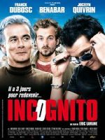Watch Incognito Putlocker