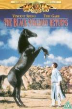 Watch The Black Stallion Returns Putlocker