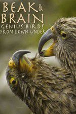 Watch Beak & Brain - Genius Birds from Down Under Putlocker