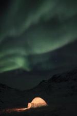 Watch The Last Igloo Putlocker