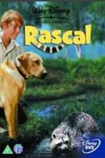 Watch Rascal Putlocker