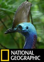 Watch Dino Bird Putlocker