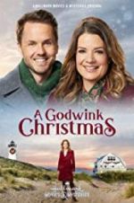 Watch A Godwink Christmas Putlocker