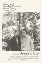 Watch Beautiful Boy Putlocker