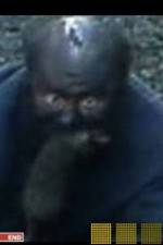 Watch The Legend of Catman Putlocker