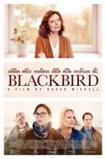 Watch Blackbird Putlocker