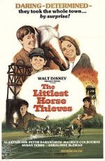 Watch The Littlest Horse Thieves Putlocker