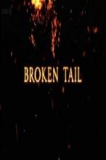 Watch A Tiger Called Broken Tail Putlocker