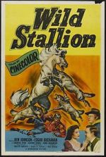 Watch Wild Stallion Putlocker