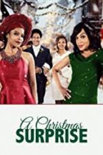 Watch A Christmas Surprise Putlocker