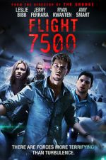 Watch Flight 7500 Putlocker