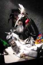 Watch Ornithology Putlocker