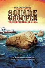 Watch Square Grouper Putlocker