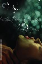 Watch Ai no corrida Putlocker