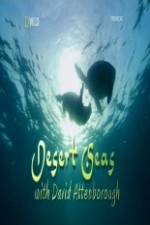 Watch National Geographic Desert Seas Putlocker
