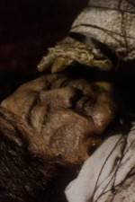 Watch The Separation Putlocker