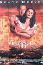 Watch A Walk in the Clouds Putlocker