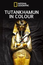 Watch King Tut in Color Putlocker