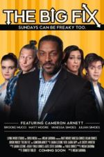 Watch The Big Fix Putlocker