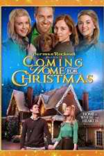 Watch Coming Home for Christmas Putlocker