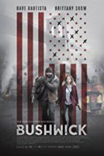 Watch Bushwick Putlocker