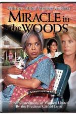 Watch Miracle in the Woods Putlocker