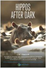 Watch Hippos After Dark Putlocker