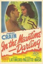 Watch In the Meantime Darling Putlocker