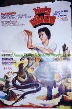 Watch Snake in the Eagle's Shadow II Putlocker