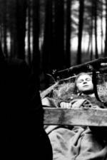 Watch Kocár do Vídne Putlocker