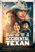 Watch Accidental Texan Putlocker