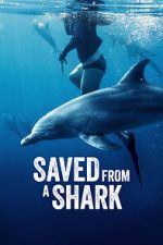 Watch Saved from a Shark Putlocker
