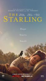 Watch The Starling Putlocker