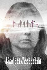 Watch The Three Deaths of Marisela Escobedo Putlocker