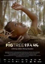 Watch Fig Tree Putlocker