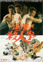 Watch The Street Fighter's Last Revenge Putlocker