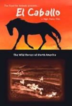 Watch El Caballo: The Wild Horses of North America Putlocker