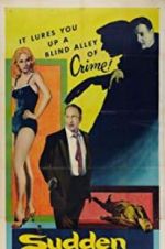 Watch Sudden Danger Putlocker