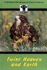 Watch Twixt Heaven and Earth Putlocker