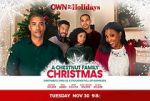 Watch A Chestnut Family Christmas Putlocker
