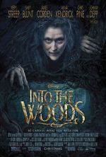 Watch Into the Woods Putlocker