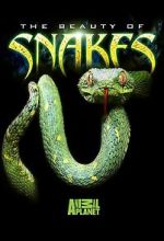 Watch Beauty of Snakes Putlocker