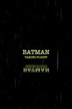 Watch Batman: Taking Flight Putlocker