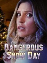 Watch Dangerous Snow Day Putlocker