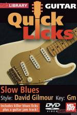Watch Lick Library Quick Licks David Gilmour Putlocker