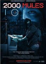 Watch 2000 Mules Putlocker