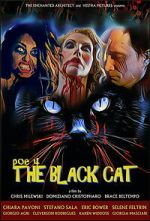 Watch POE 4: The Black Cat Putlocker